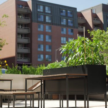 Un bac de culture en bois et en acier foncé devant un immeuble à logement.