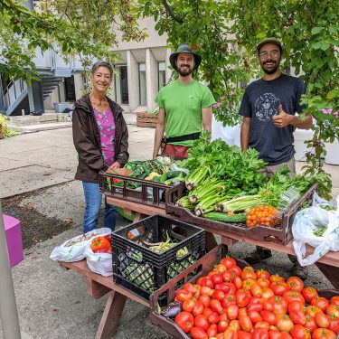 Une femme et deux hommes sourient fièrement, derrière une table couverte des légumes fraîchements récoltés.