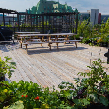 Une table à pique-nique sur un patio de bois est entourée de végétaux.