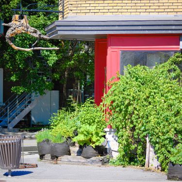 Coin d'un bâtiment, avec la pancarte "La Souche" suspendue, et de nombreux végétaux verdissant le devant du bâtiment.