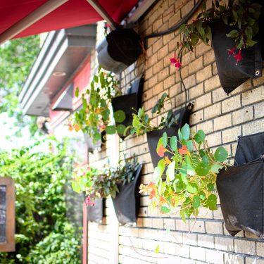 Pochettes de géotextiles suspendues le long d'un mur de briques et contenant, entre autres, des capucines.