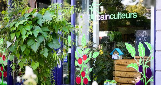 Vitrine de la boutique des Urbainculteurs