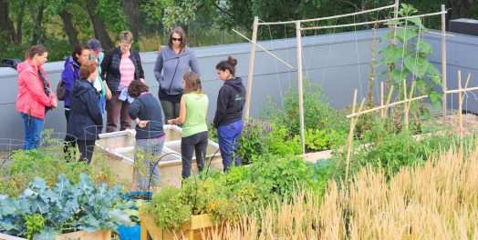 Un groupe de femmes discute au milieu d'un potager sur un toit.