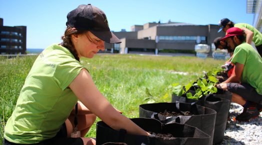 Une horticultrice prépare le sol dans un pot. En arrière-plan, d'autres horticulteurs s'affairent sur le toit vert.