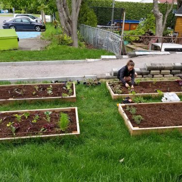 Une horticutrice entretien l'un de quatre jardinets à hauteur du sol.