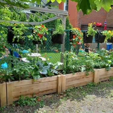 Bacs de culture et smart pots muraux sur clôture