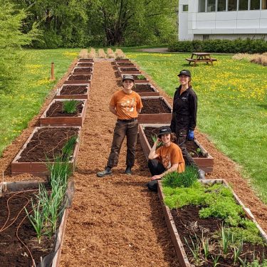 Une équipe de trois horticultrices devant entre les lits de culture près pour une nouvelle saison!