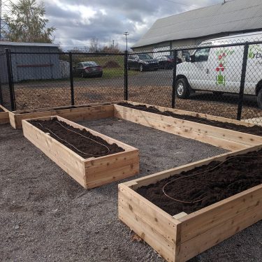 Un jardin surélevé, entouré de bois et remmpli de terre, forme une zone en U à l'intérieur d'une cour grillagée.
