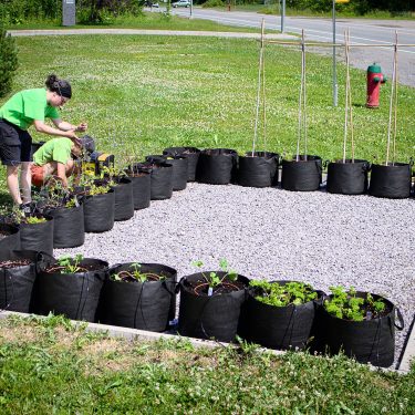 Deux horticultrices sont en train de mettre en place une rangée de pots en géotextile formant un U, sur une portion de terrain recouverte de gravier, entourée de gazon.