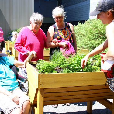 Une horticultrice sourit tout en entretenant le jardin en bac surélevé, alors que trois femmes âgées, dont une en chaise roulante, profitent de la présence du jardin.
