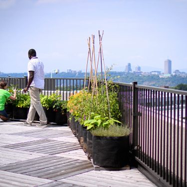 Une rangée de pots remplis de végétaux longe une rambarde de terrasse. Une horticultrice y travaille accroupie tandis que deux employés observent le jardin. On aperçoit des immeubles du centre-ville de Québec au loin.