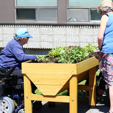 Trois femmes âgées, dont deux en chaises roulantes, sont placées autour d'un bac de culture surélevé et l'observent.