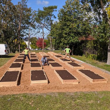 Une femme et deux hommes prennent la pose sur le jardin communautaire dont l'installation vient de se terminer. 24 cadres de bois remplis de terreau sont alignés dans un grand rectangle recouvert de paillis.
