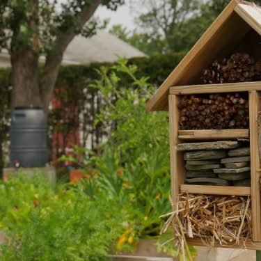 Un hotel à insectes au premier plan. En arrière, de la végétation et un baril de récupération d'eau de pluie.
