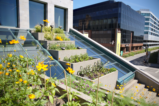 Terrasse en escaliers/bacs remplis de végétaux comestibles.
