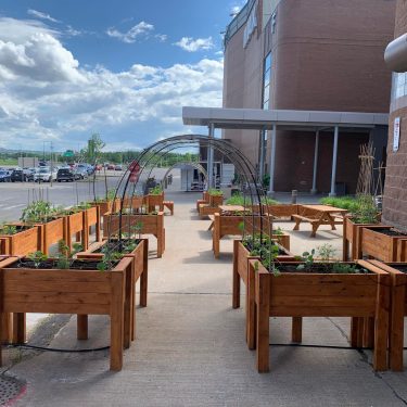 Bacs en bois teint avec une arche de métal et des végétaux comestibles devant une entrée aux Galeries de la Capitale.