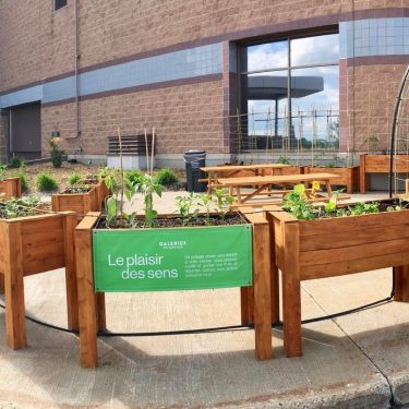 Plusieurs bacs à jardins en bois teint avec des végétaux. Certains ont des bancs. Des arches de métal sont installées sur d'autres. On peut lire sur une bannière sur un bac : « Pour le plaisir des sens ».