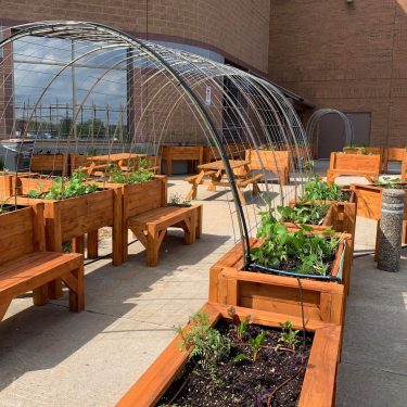 Arche en métal surplombant des bacs à jardin en bois teint. Certains bacs ont des bancs.