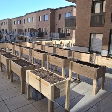 Bacs de jardin surélevés remplis de terreaux sur une terrasse au milieu d'immeubles.