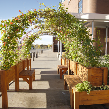 Plan de face d'une arche végétale reliée à des bacs de jardin en bois
