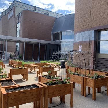 Bacs de bois teints avec une arche de métal pour les végétaux grimpants, devant une entrée des Galeries de la Capitale.