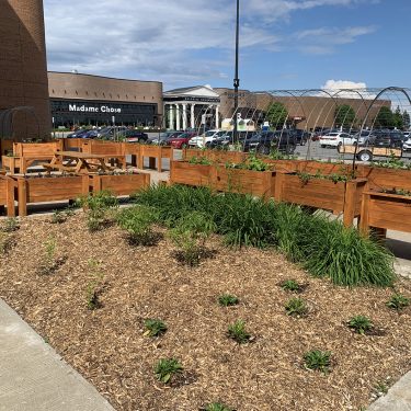 Bacs de bois teint et plate-bande recouverte de paillis, avec divers végétaux fraîchement plantés.