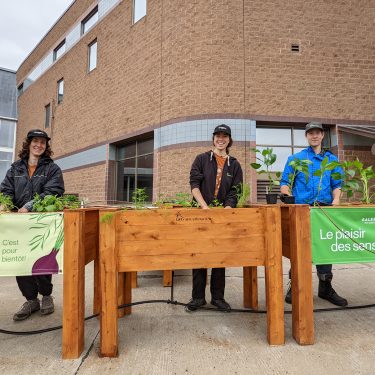 Trois bacs de culture en bois teint, dont l'un est décoré d'une bannière où il est inscrit "Potager urbain, c'est pour bientôt!" et un autre d'une bannière "Le plaisir des sens". Deux horticultrices et un horticulteur posent pour la photo derrière les bacs.