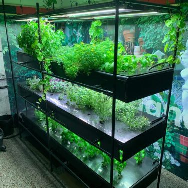 Système hydroponique à trois étages