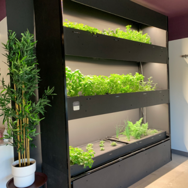 Système hydroponique à trois étages