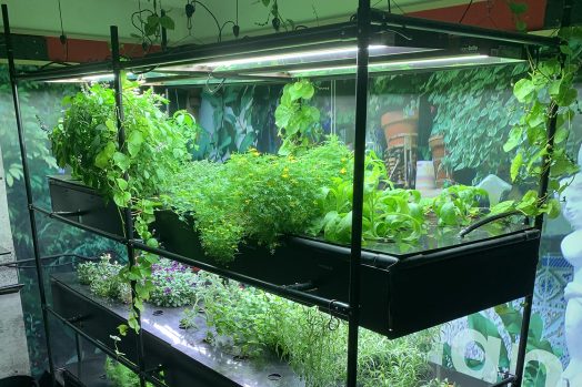 Système hydroponique à trois étages