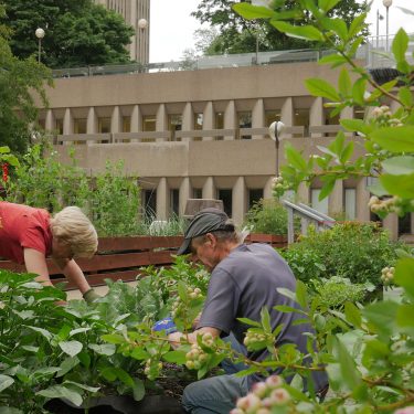 Une femme et un homme sont accroupis dans les plantes, dans un jardin au milieu d'un espace bétonné.