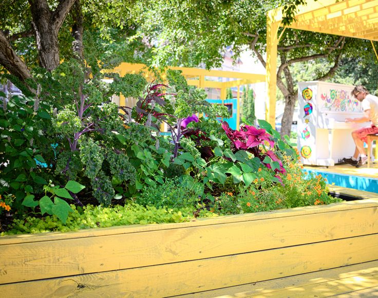 Diverses plantes comestibles plantées dans un bac de bois coloré sur une place publique. Un citoyen joue du piano dehors, en arrière-plan.
