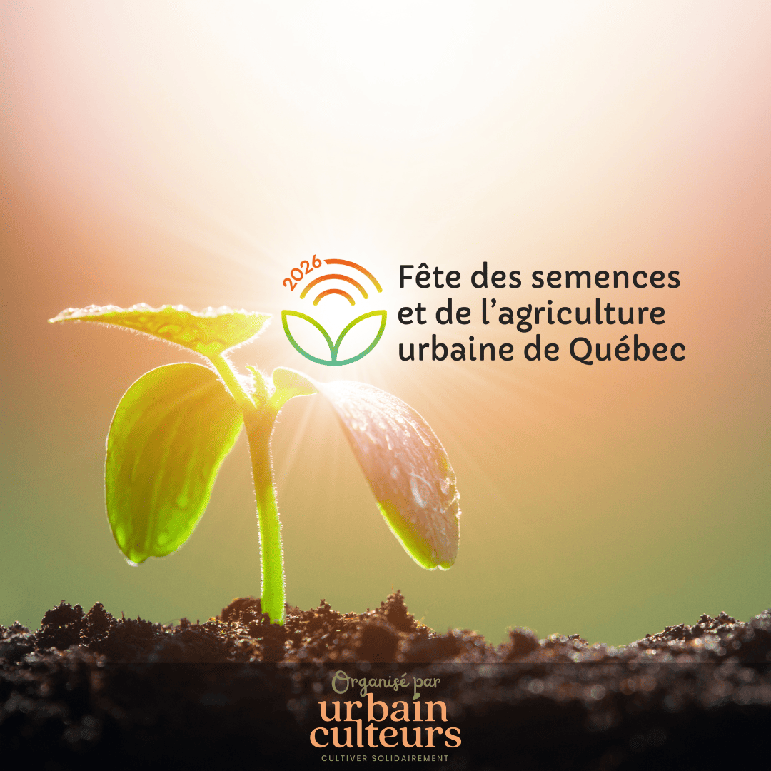 Un semi dans un potager urbain pour annoncer la fête des semences et de l'agriculture urbaine de Québec