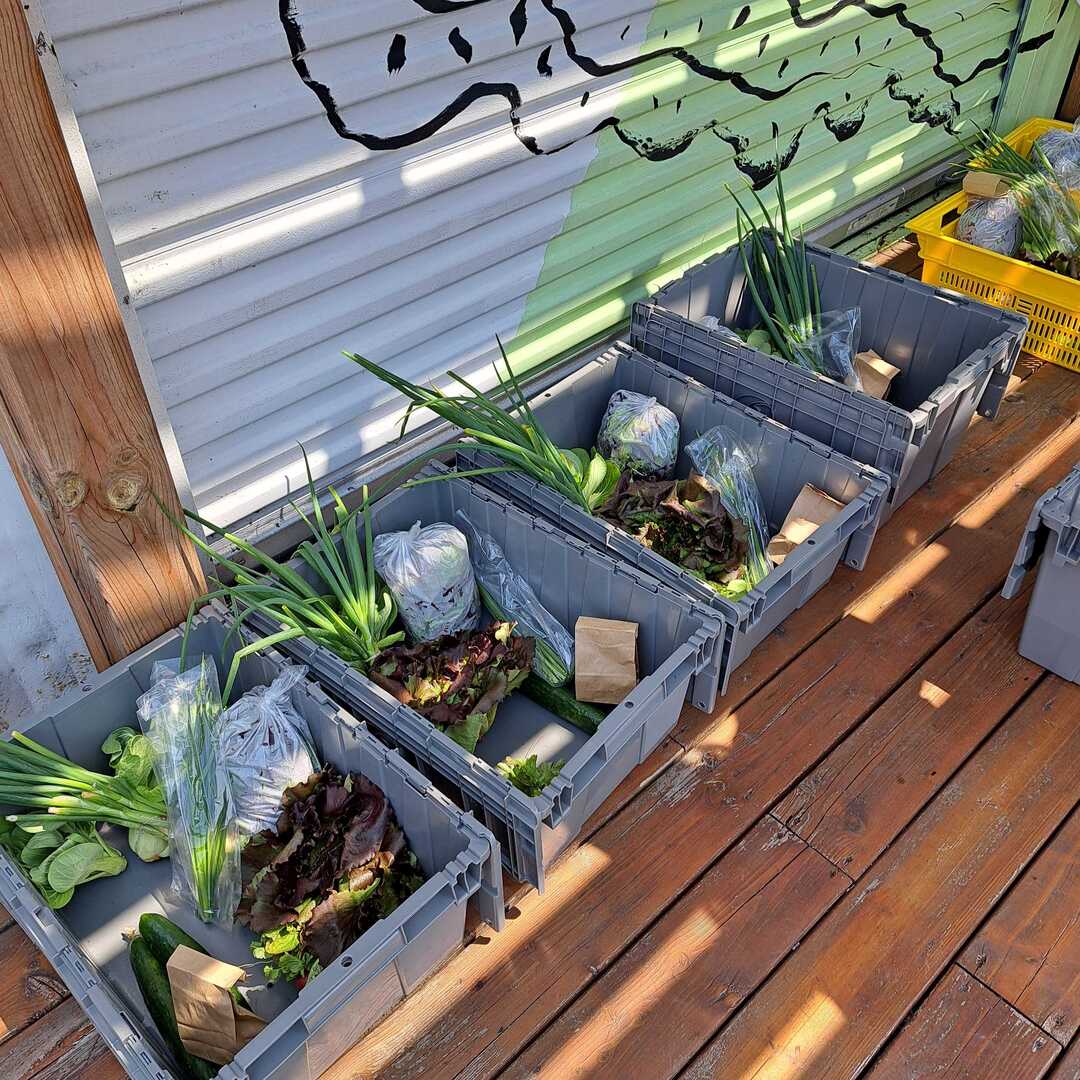 Abonnement panier Jardins Bassin Louise