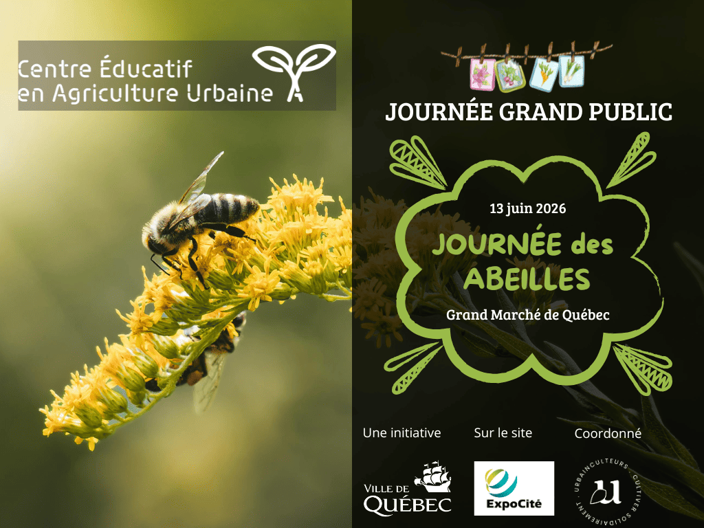 Journée des abeilles - agriculture urbaine et biodiversité
