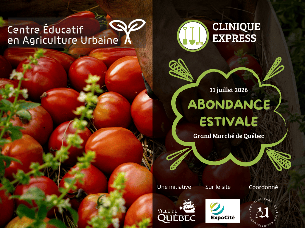 Abondance estivale- centre éducatif en agriculture urbaine